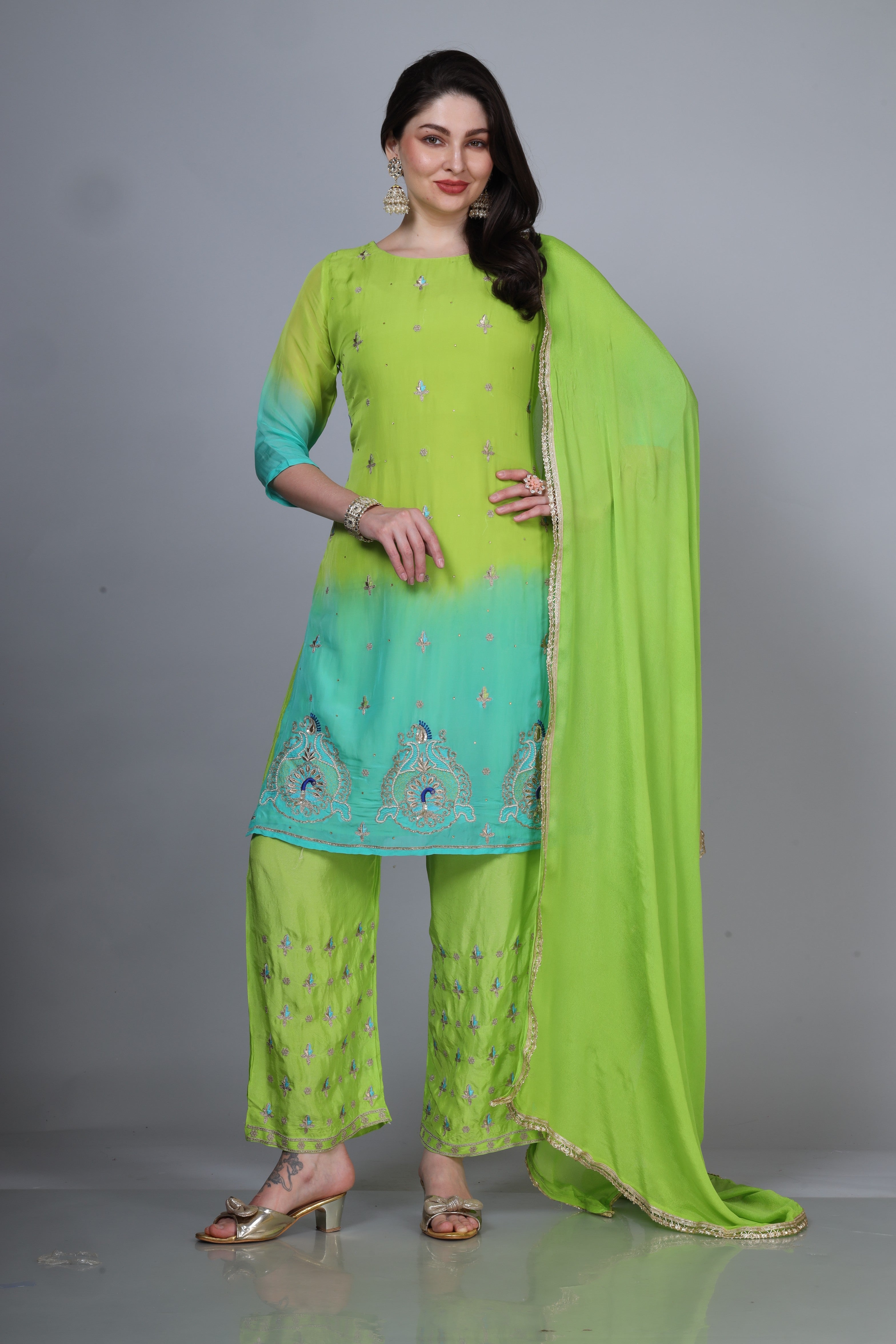 Organza dual tone handwork suit