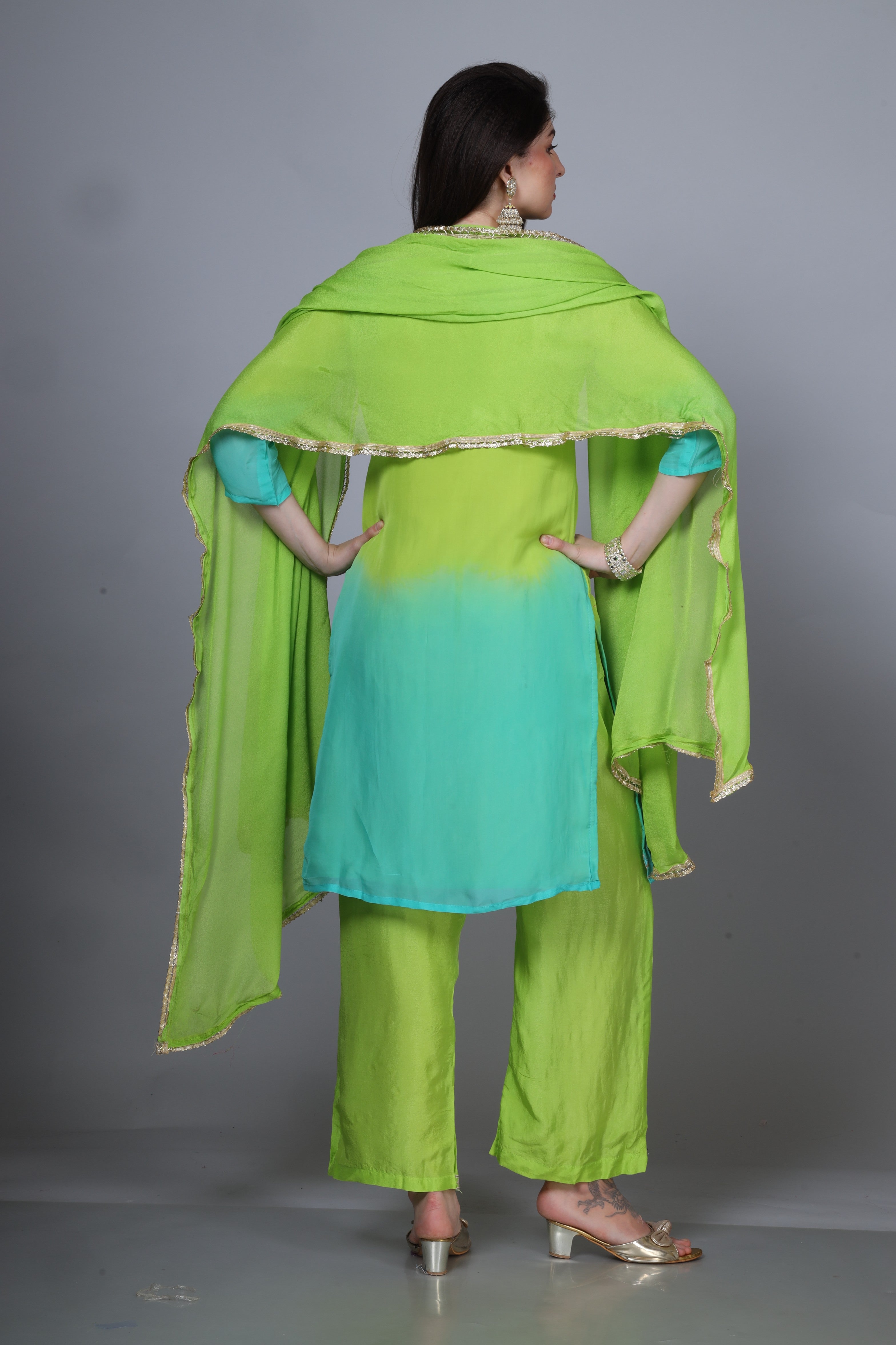 Organza dual tone handwork suit